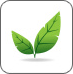 icon-leaf